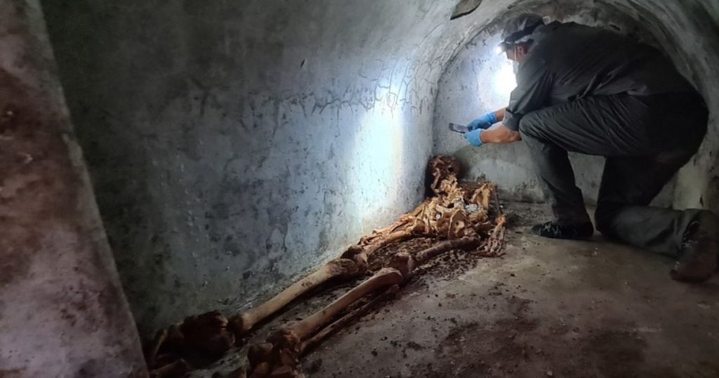 New discoveries in Pompeii surprise