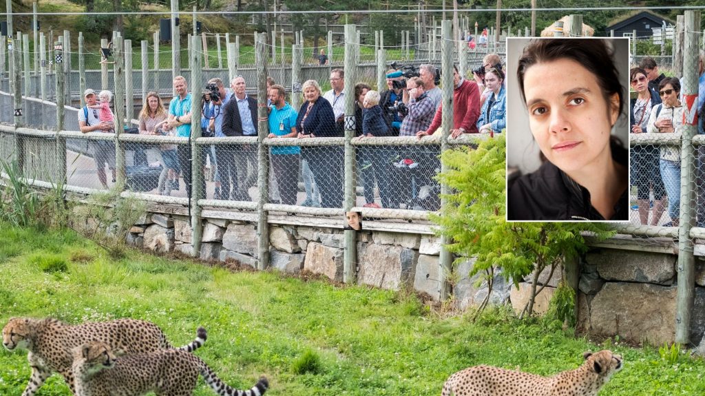 Noah leader Listak goes after the zoo Dairybargan support in Christianand: - This is a very sad thing