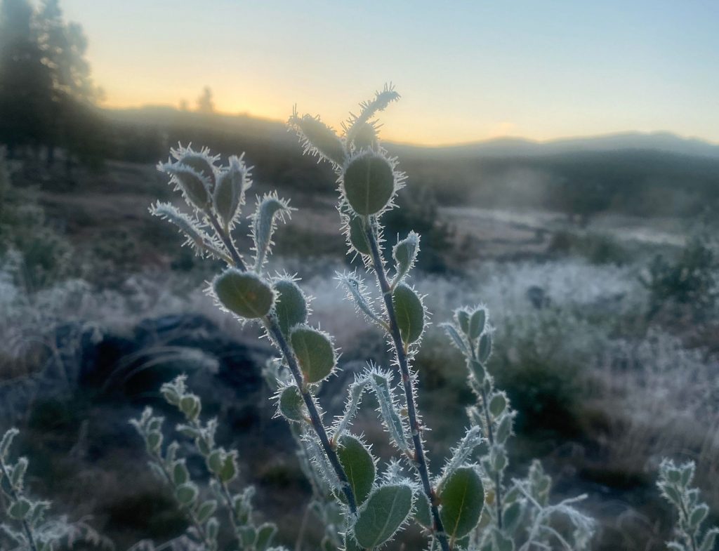 Frost night in several places in the country - VG