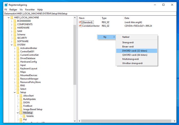Create a new value in the correct place in the Windows registry.