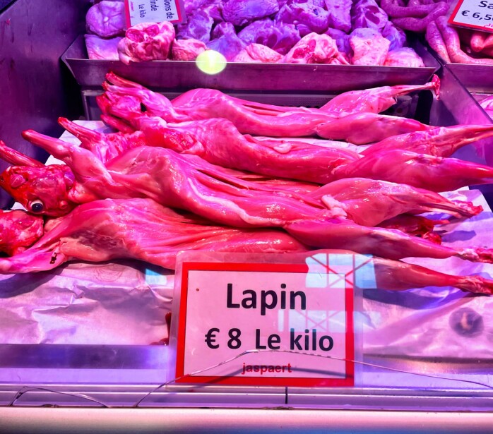 Sunday Bunny: Should it be a bunny from the market in the fall pot this weekend?  about 80 kroner per kilo,
