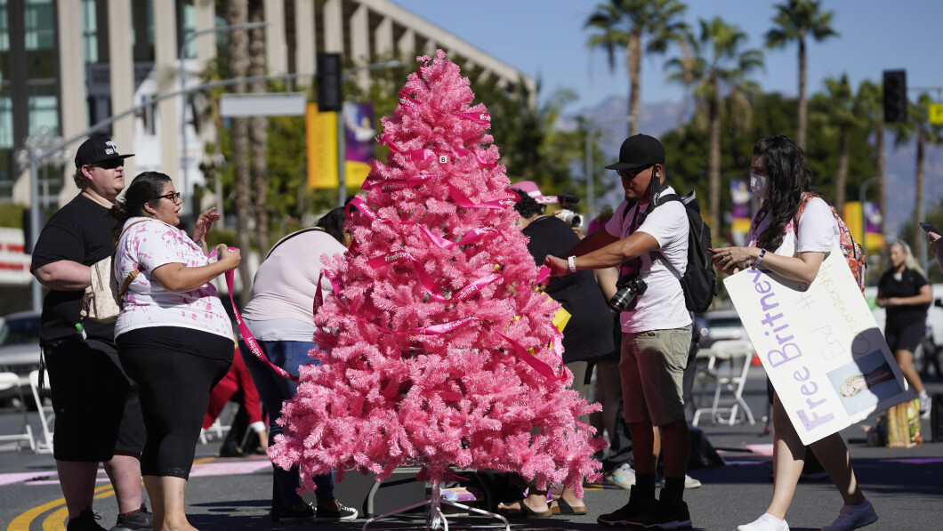 Pink Tree: Some fans brought out a pink #freebritney Christmas tree for the occasion.  Photo: Chris Bezello