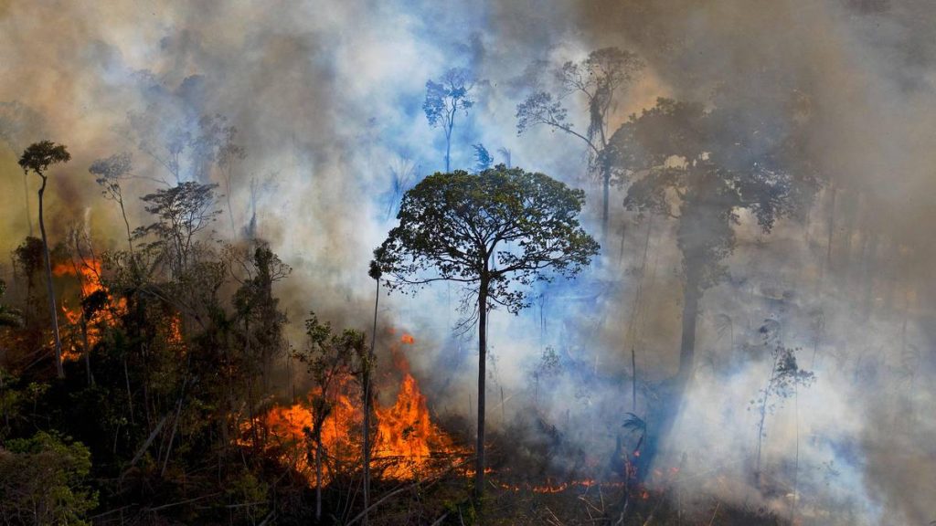 Røyk stiger opp fra en brann i Amazonas