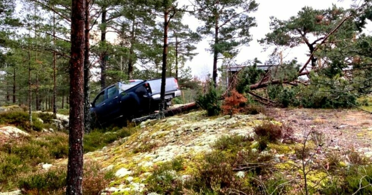 Gap Terje in Sweden: - New information: