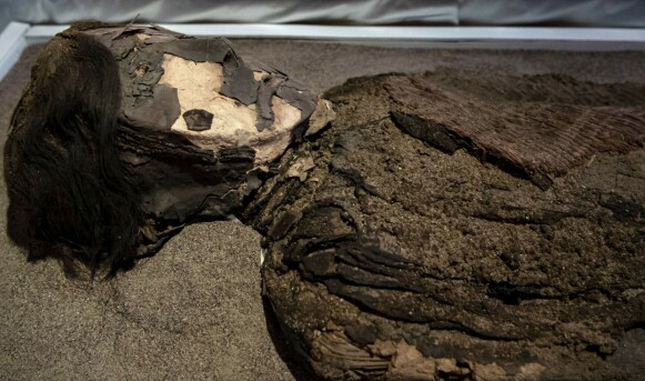 Fragility: Chinchorro mummies were discovered in 1917. Here, one of them is on display at the San Miguel de Azaba Archaeological Museum in Camarones, Chile.  Photo: Martin Bernetti/AFP