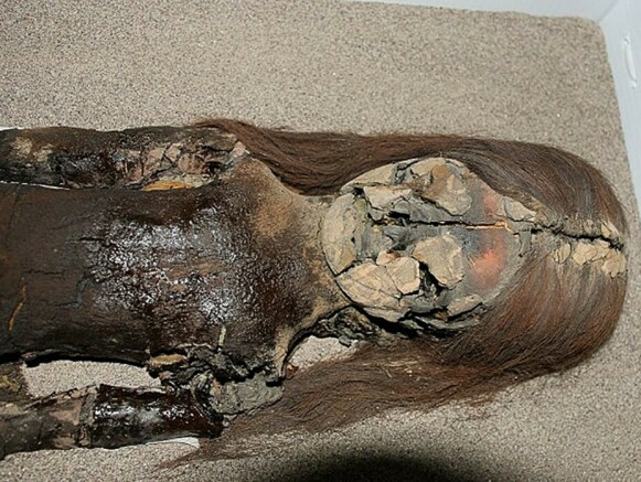 An ongoing solution: a black sticky substance on the chest of a mummies in Chile.  Pictured: Vivian Standen