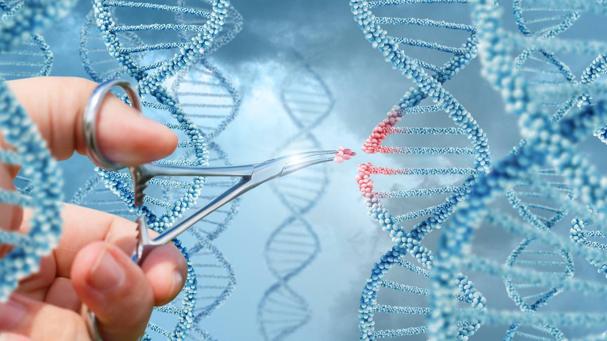 CRISPR og endring av DNA