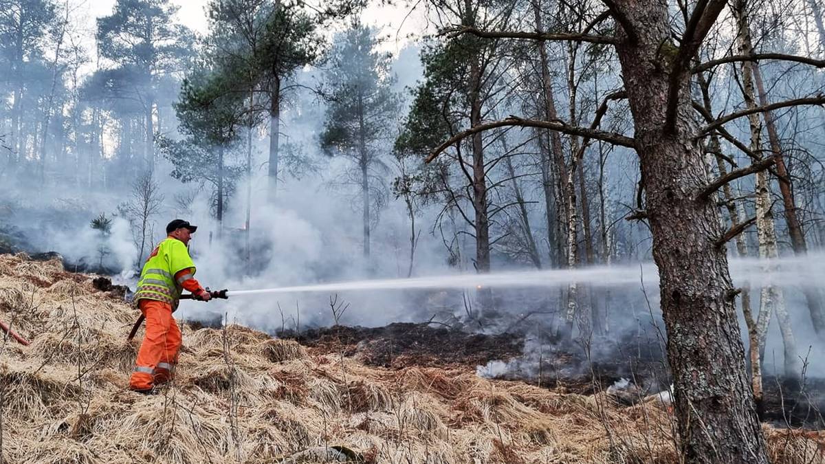 Shrub fires out of control in Kvinesdal – wildfire helicopter – NRK Sørlandet – Local News, Television & Radio