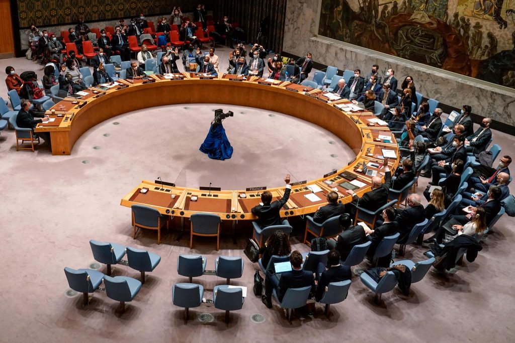 Ukraine's declaration passed with Russian support in Security Council