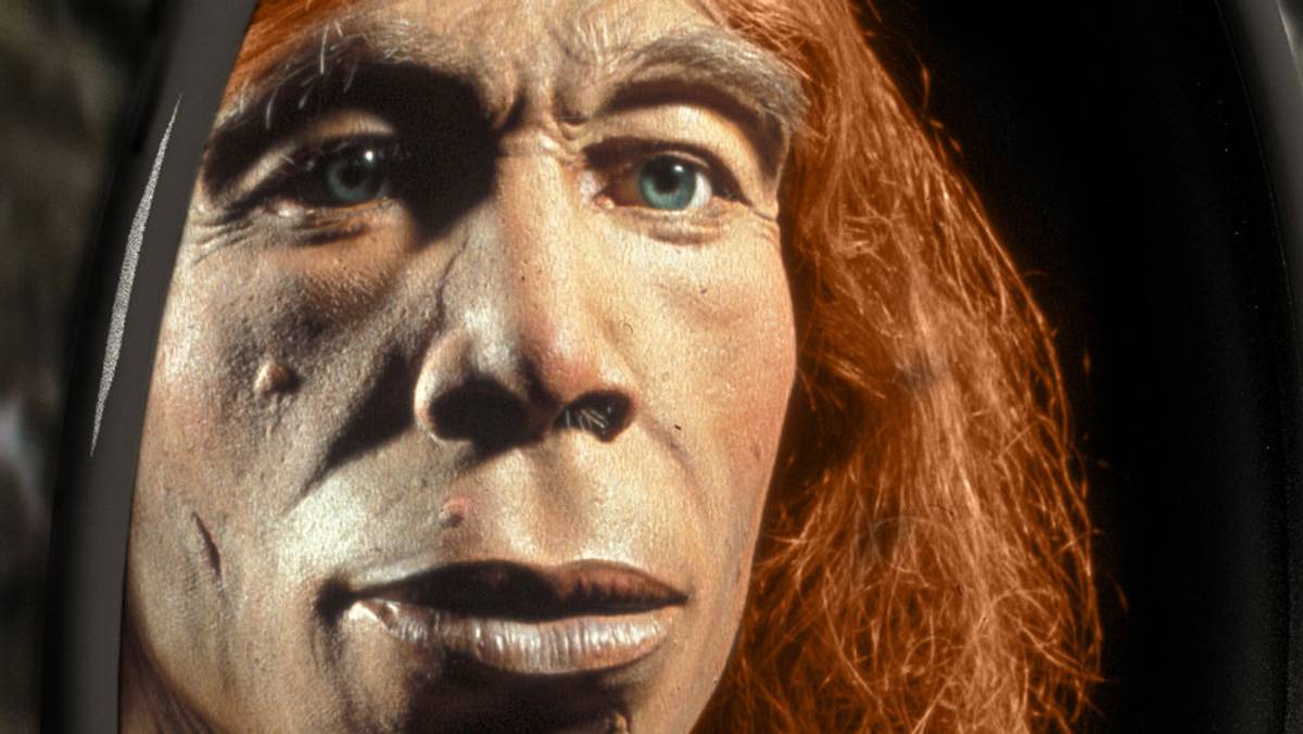 Some of us are partly Neanderthals, and that can affect how we treat different medicines - NRK Trøndelag