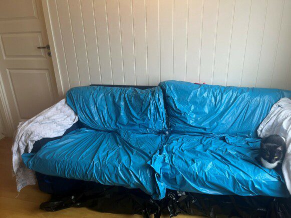 Covered in plastic: This is how to get rid of bugs in the fabric of a Victorian sofa.  Photo: Private