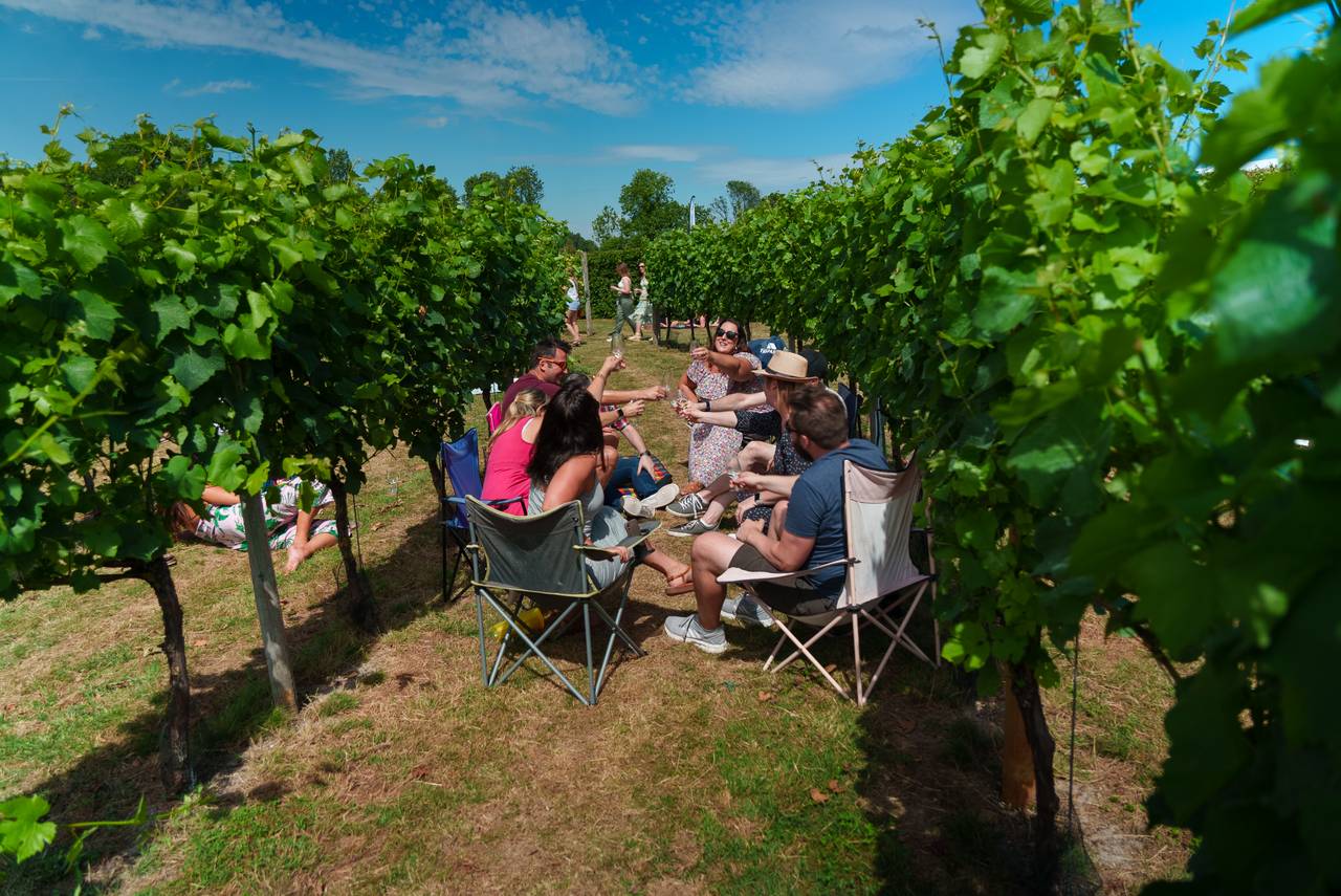Party amongst the vineyards in Hampshire