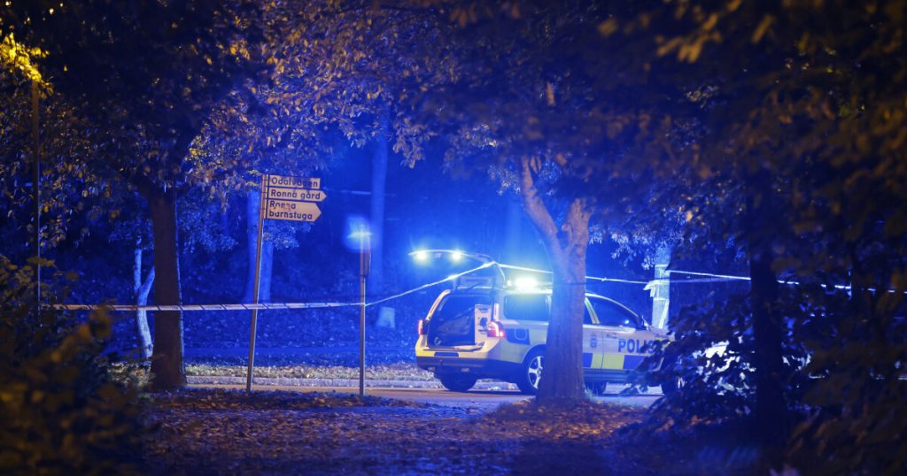 The cycle of violence in Sweden - worrying