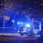 The cycle of violence in Sweden – worrying