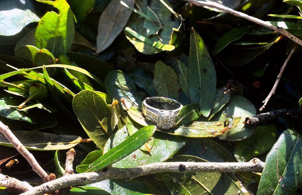 Wedding ring found in the bush after Hurricane Ian - VG
