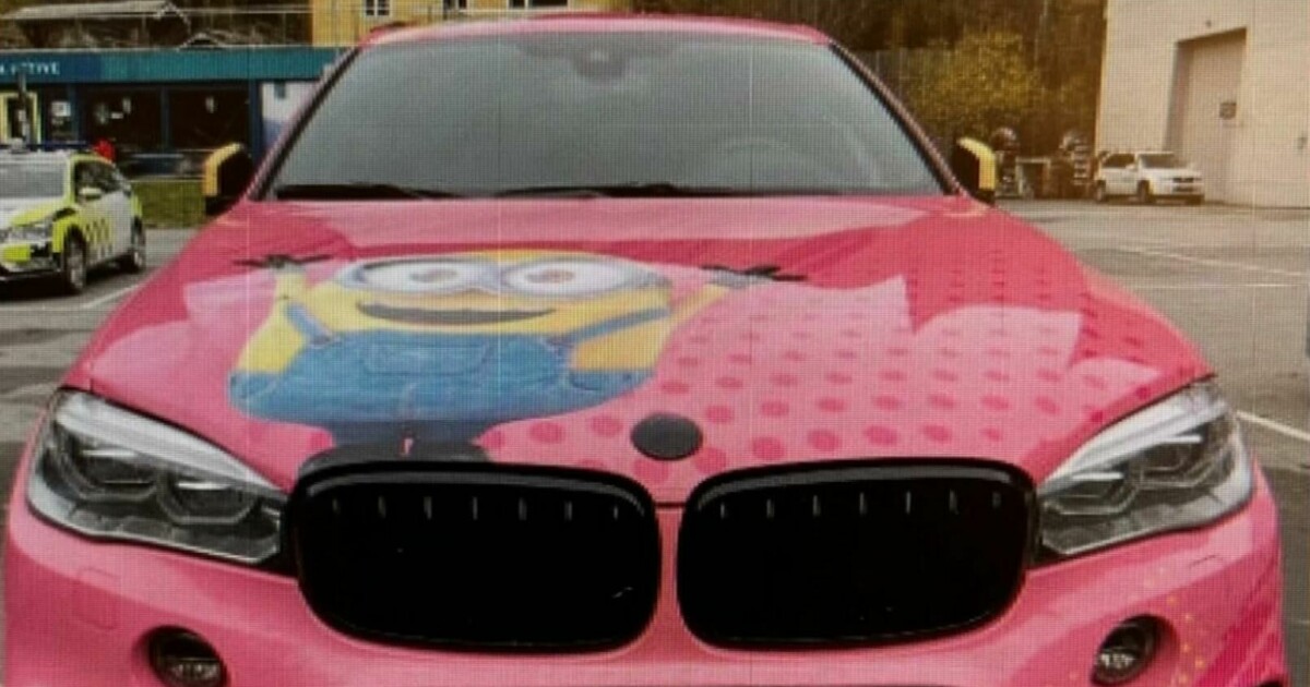Russians caught by drone in a pink Minion car