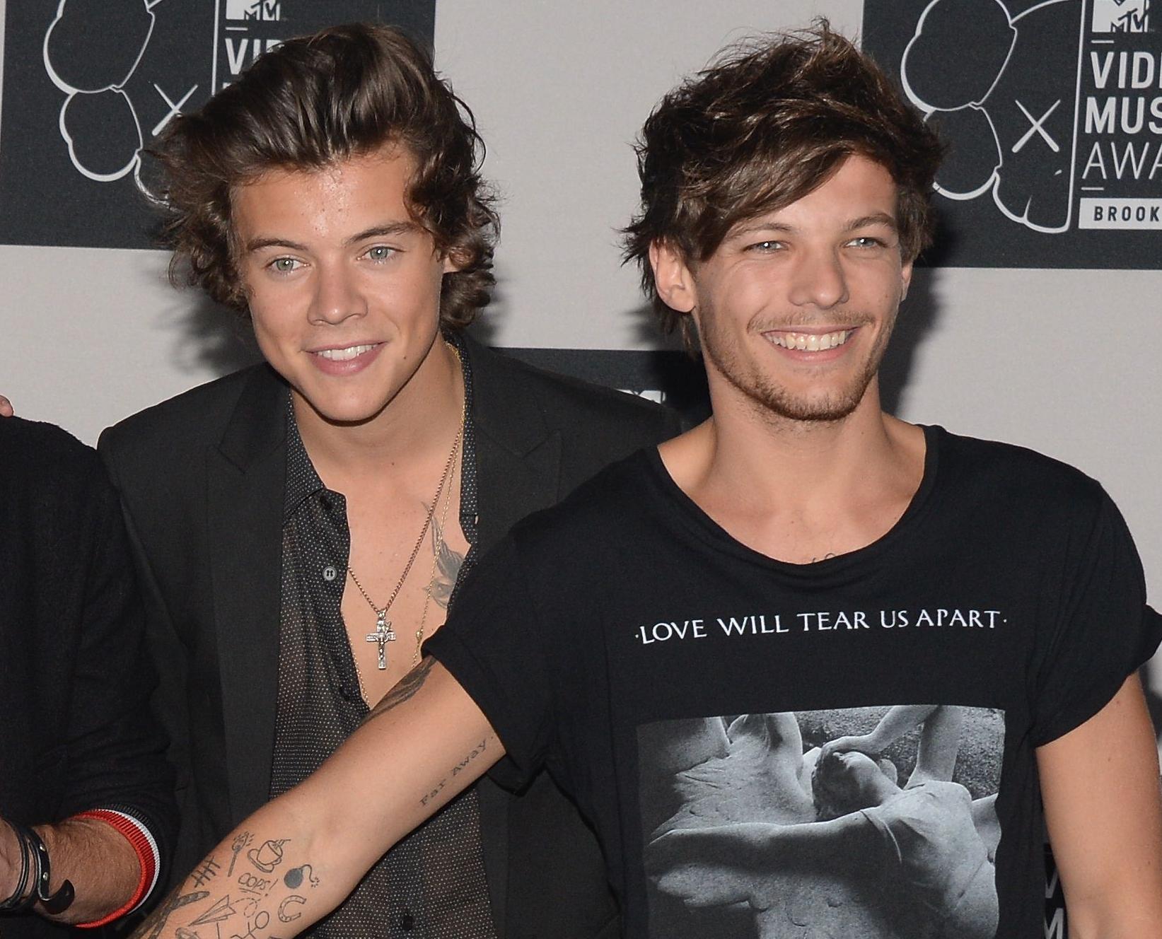 Louis Tomlinson hints at envy towards Harry Styles after One Direction's breakup - VG