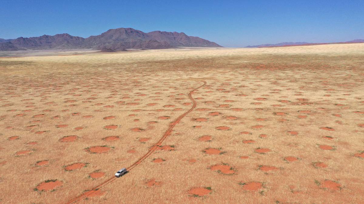 Dronebilde av bil som kjører gjennom naturreservatet kalt NamibRand i Afrika.