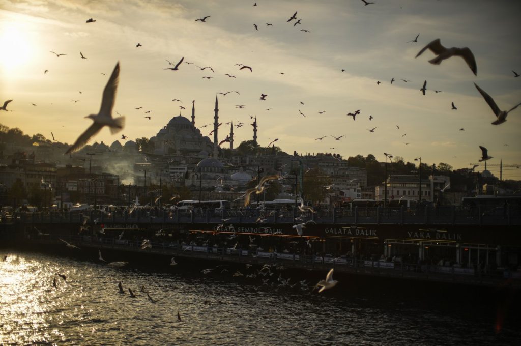 Seagulls fly over the Galata Bridge in Istanbul, Türkiye, Nov. 8, 2022. (AP Photo)